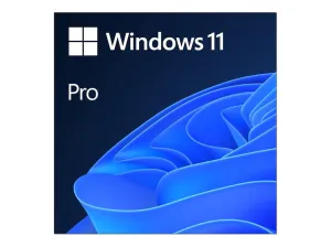 Windows 11 Pro - Licence - 1 Licence - Esd - 64-Bit, National Retail - All Languages